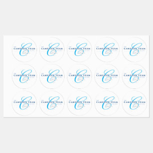 The Cameron Team Logo