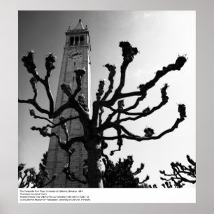 The Campanile from Plaza, UC Berkeley, 1964 Poster