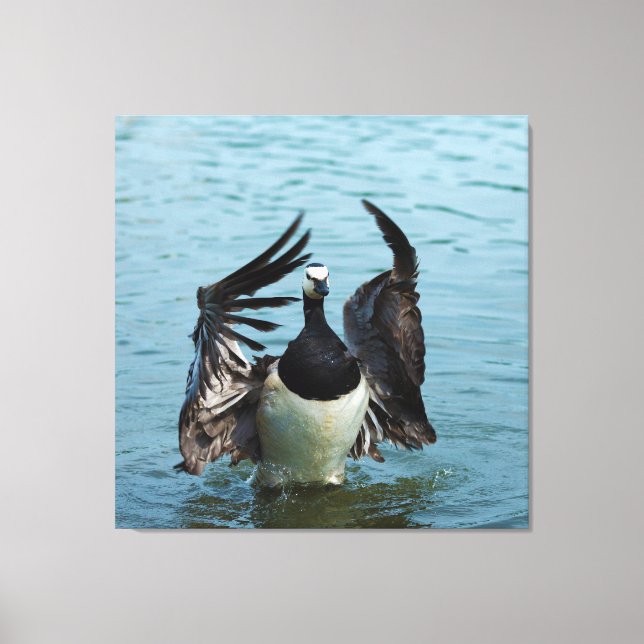 The Canada Goose Branta Canadensis Canvas Print (Front)