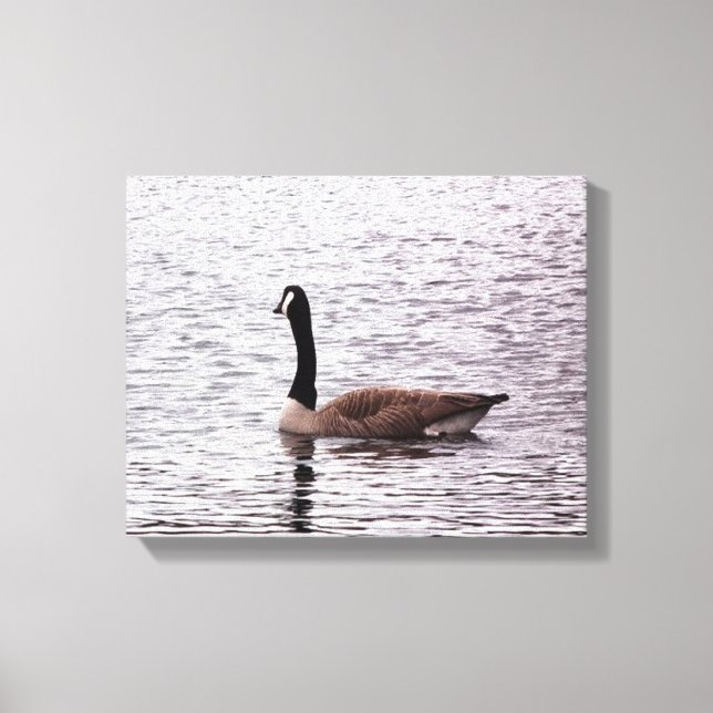 The Canada Goose on Lake Canvas Print (Front)