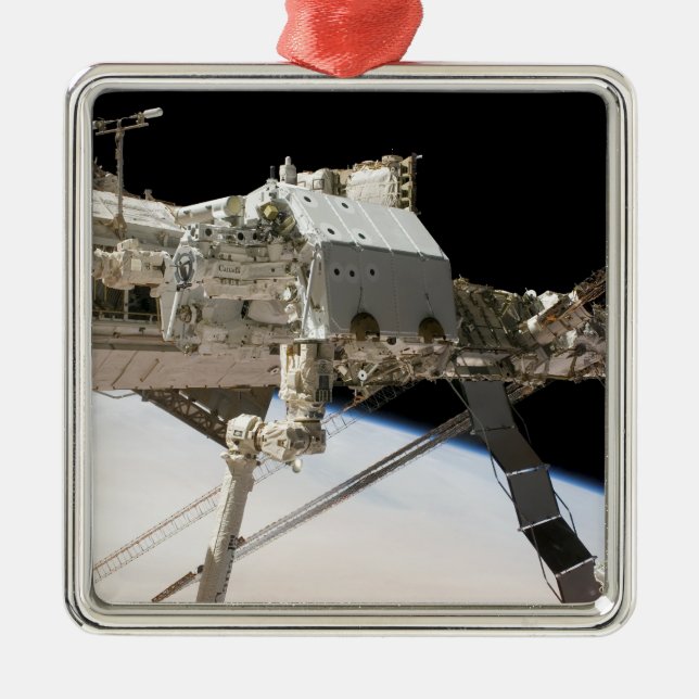 The Canadian-built Dextre robotic system Metal Tree Decoration (Front)