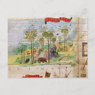 The Canadian Forest Postcard