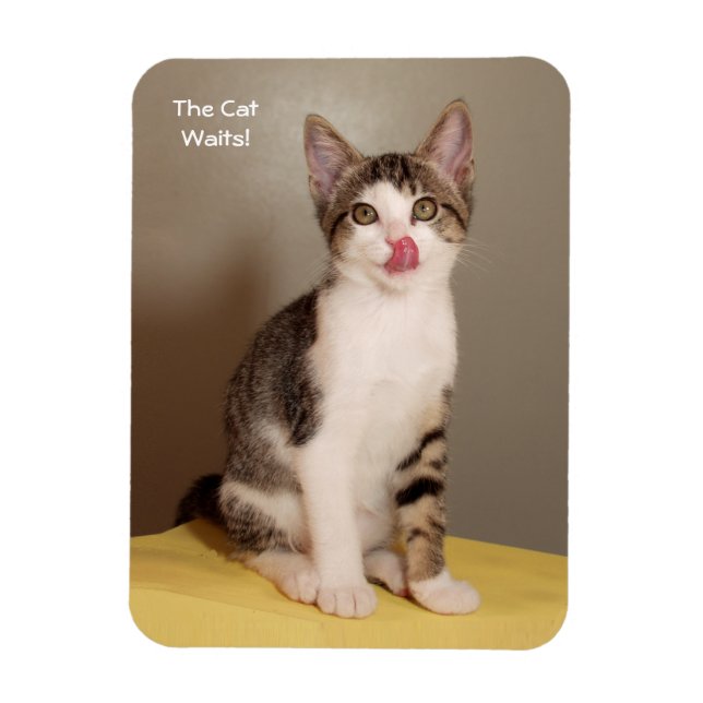 The Can's Open Humourous Tabby Cat Magnet (Vertical)