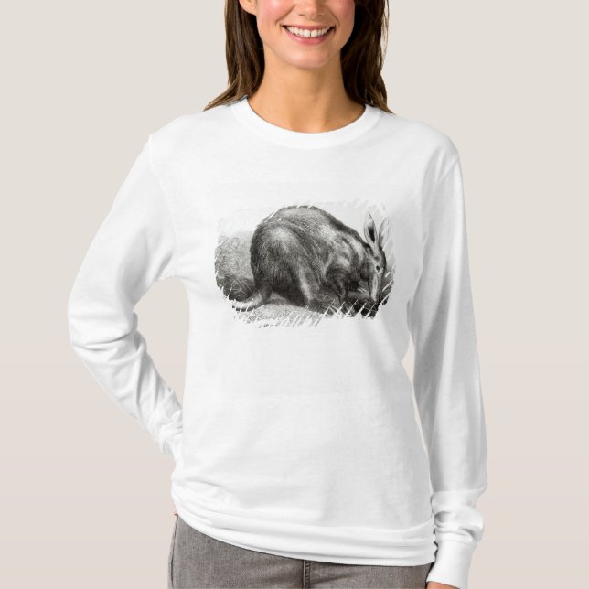 The Cape Ant-Eater T-Shirt (Front)