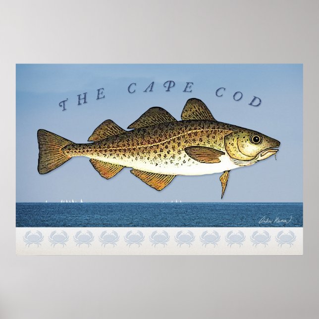 The Cape Cod Poster (Front)