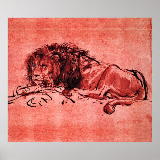 THE CAPE LION LYING DOWN, by Rembrandt Red Black Poster