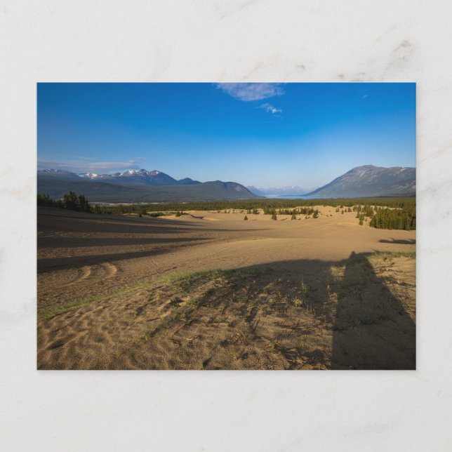 The Carcross Desert in Canada Postcard (Front)