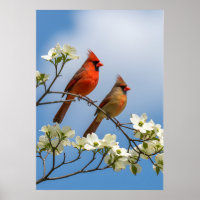 The Cardinal Courtship: Dogwood Dreamscape