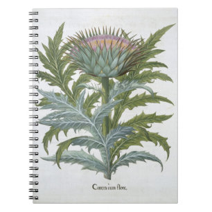 The Cardoon, from the 'Hortus Eystettensis' by Bas Spiral Notebook