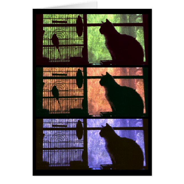 The Cat and The Bird - Card (Front)