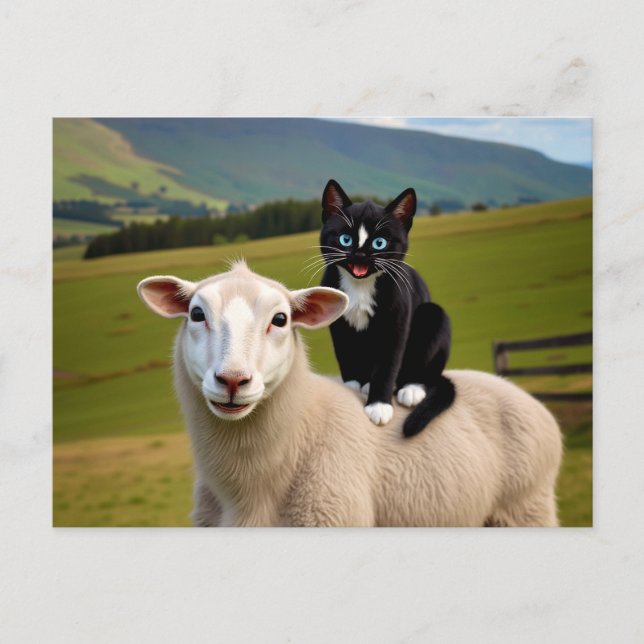 The Cat and the Sheep – Felini’s Country Ride Postcard (Front)