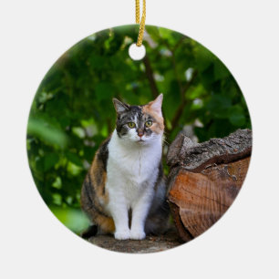 The Cat     Ceramic Tree Decoration