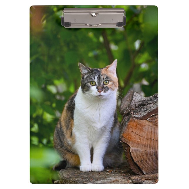The Cat      Clipboard (Front)