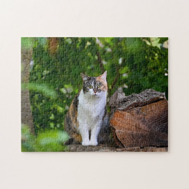 The Cat Jigsaw Puzzle (Horizontal)