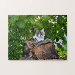The Cat Jigsaw Puzzle