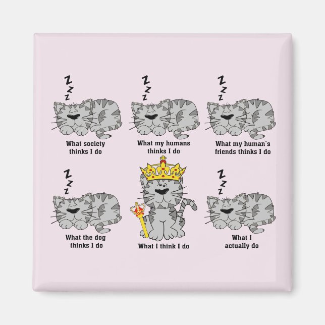 The Cat Magnet (Front)