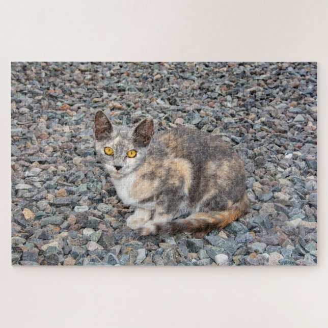 The Cat   Pillow Case Jigsaw Puzzle (Horizontal)