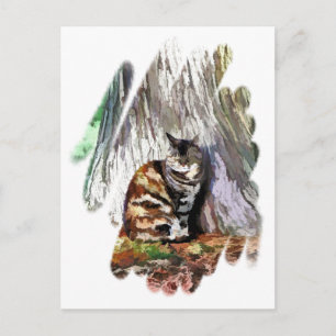 THE CAT POSTCARD
