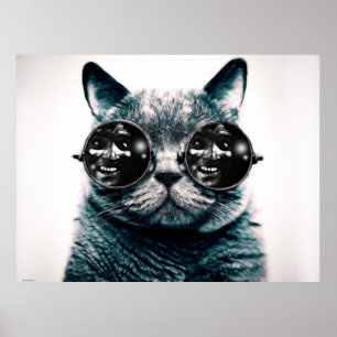 THE CAT POSTER