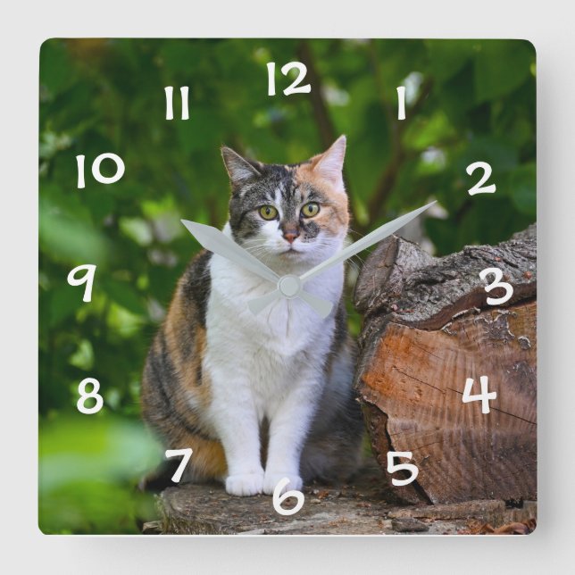 The CAT Square Wall Clock (Front)