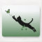 The Cat & The Butterfly