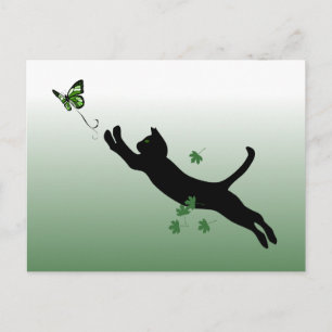 The Cat & The Butterfly Postcard