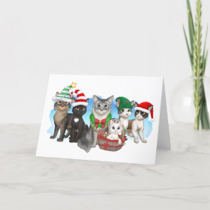 The Cats and Crew Christmas Card 5" x 7"