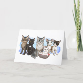 The Cats and Crew Greeting Card 5" x 7"