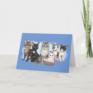 The Cats and Crew Greeting Card 5" x 7"
