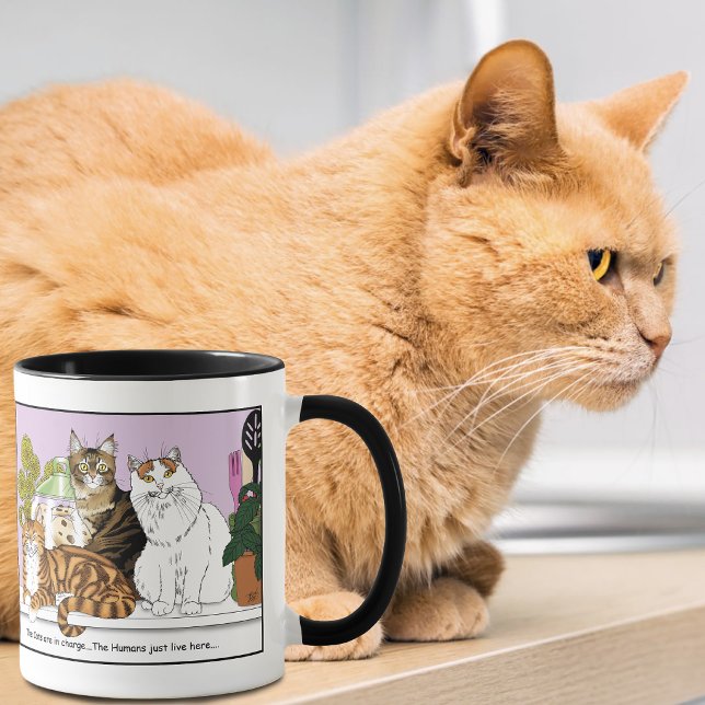 The Cats are in Charge Mug (Creator Uploaded)