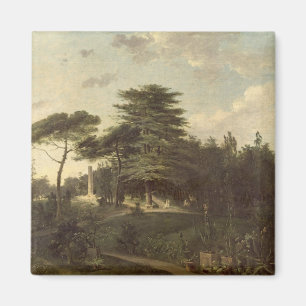 The Cedar of Lebanon in the Jardin des Plantes Magnet