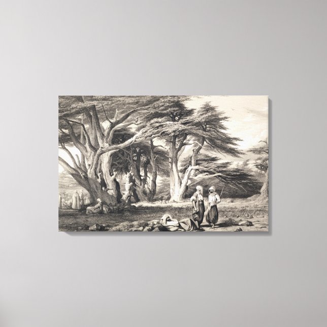 The Cedars of Lebanon, engraved by Freeman (sepia Canvas Print (Front)