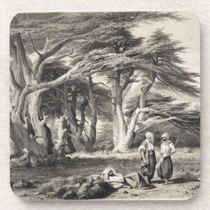 The Cedars of Lebanon, engraved by Freeman (sepia Coaster