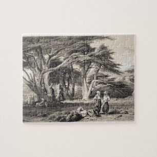 The Cedars of Lebanon, engraved by Freeman (sepia Jigsaw Puzzle