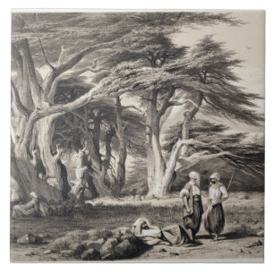 The Cedars of Lebanon, engraved by Freeman (sepia Tile