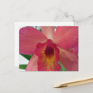 the center of a pink Cattleya orchid flower. Postcard