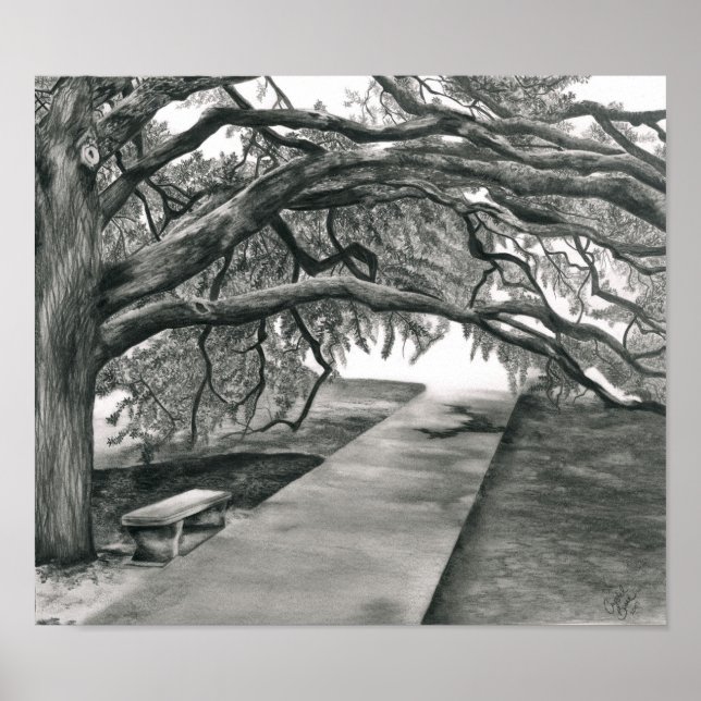 The Century Tree Poster (Front)