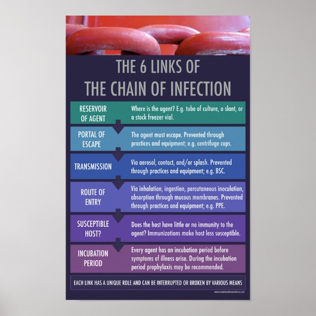 The Chain of Inflectional Educational Poster (Front)