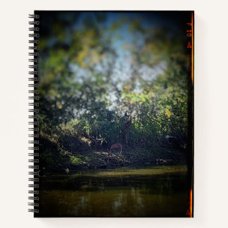 The Chair by the Pond College-Ruled Notebook