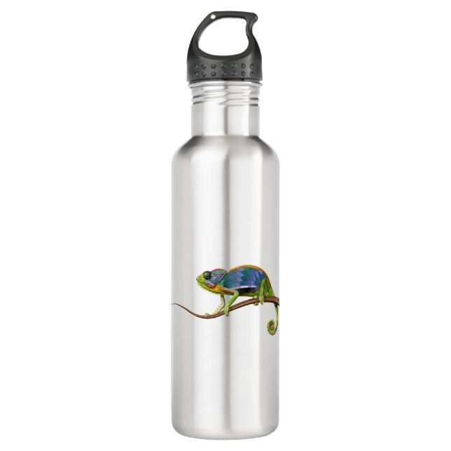 The Chameleon (Colored) 710 Ml Water Bottle (Front)