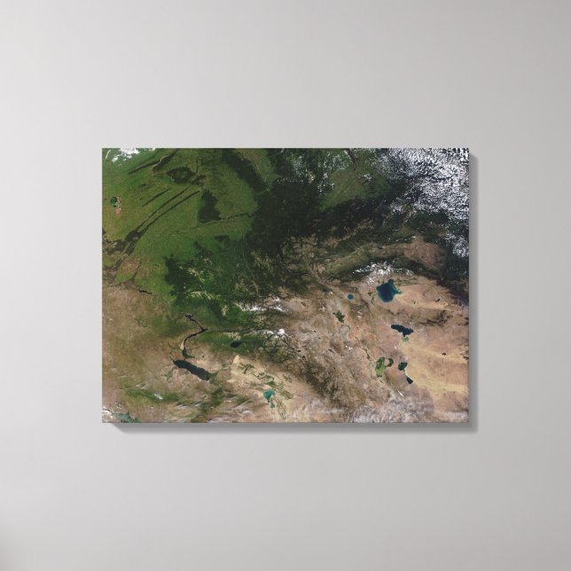 The change in vegetation canvas print (Front)