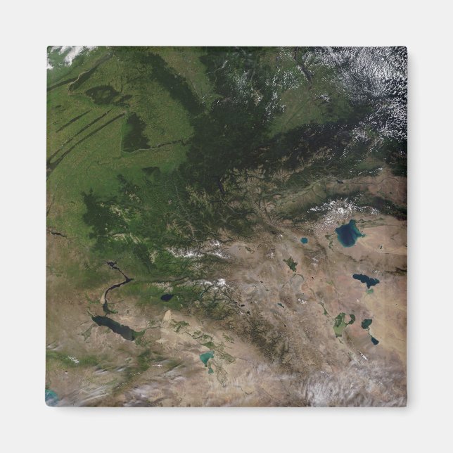 The change in vegetation magnet (Front)