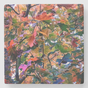 The change into Autumn leaves Stone Coaster
