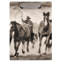 The Chase I