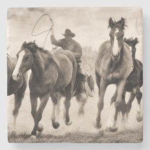 The Chase I Stone Coaster