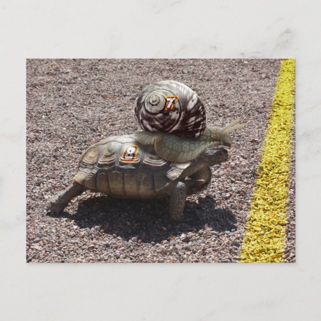 The Cheater Postcard (Front)