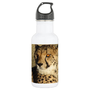 The Cheetah 532 Ml Water Bottle