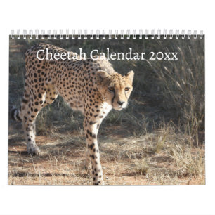 The Cheetah  Calendar