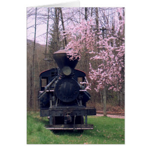 THE CHERRY BLOSSOM SPECIAL by SHARON SHARPE