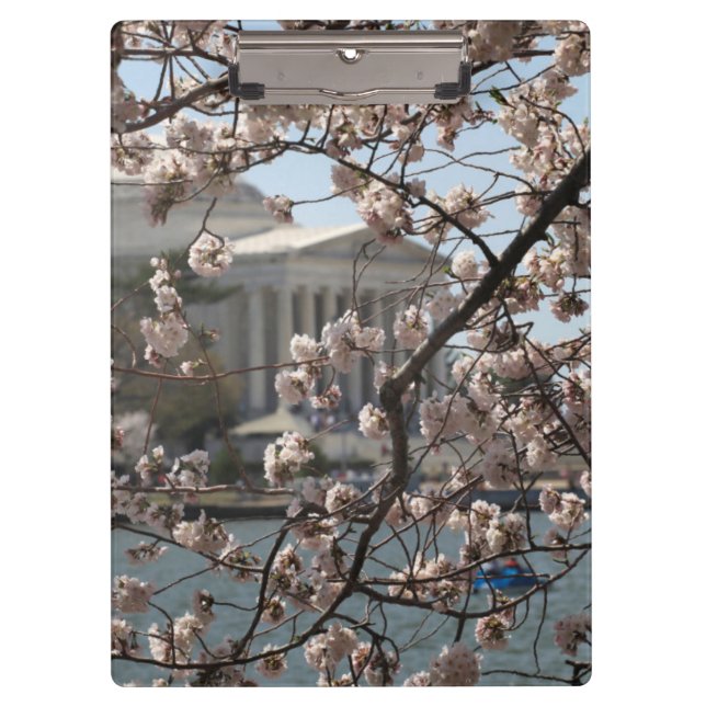 The Cherry Blossoms In Bloom In Washington DC Clipboard (Front)